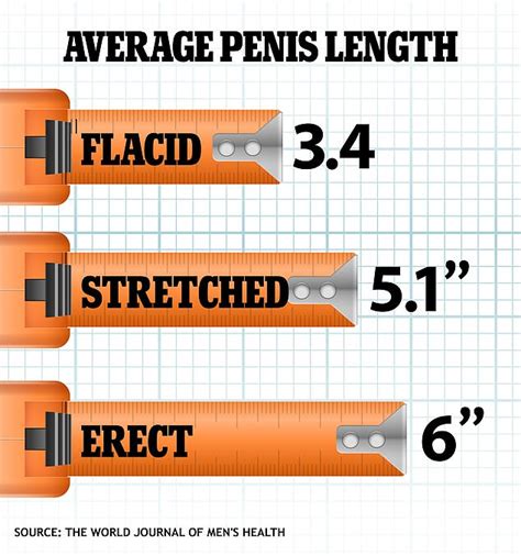 men with big penises|Average Penis Size: What Determines It .